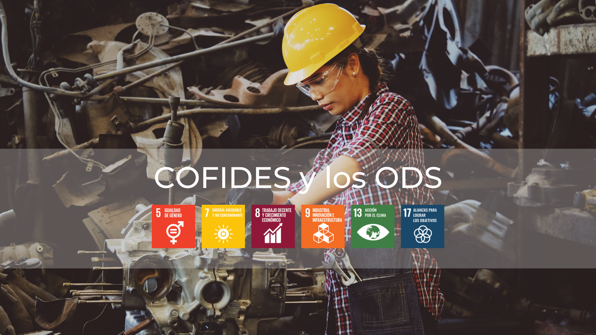 Imagen de COFIDES y su impacto en los ODS