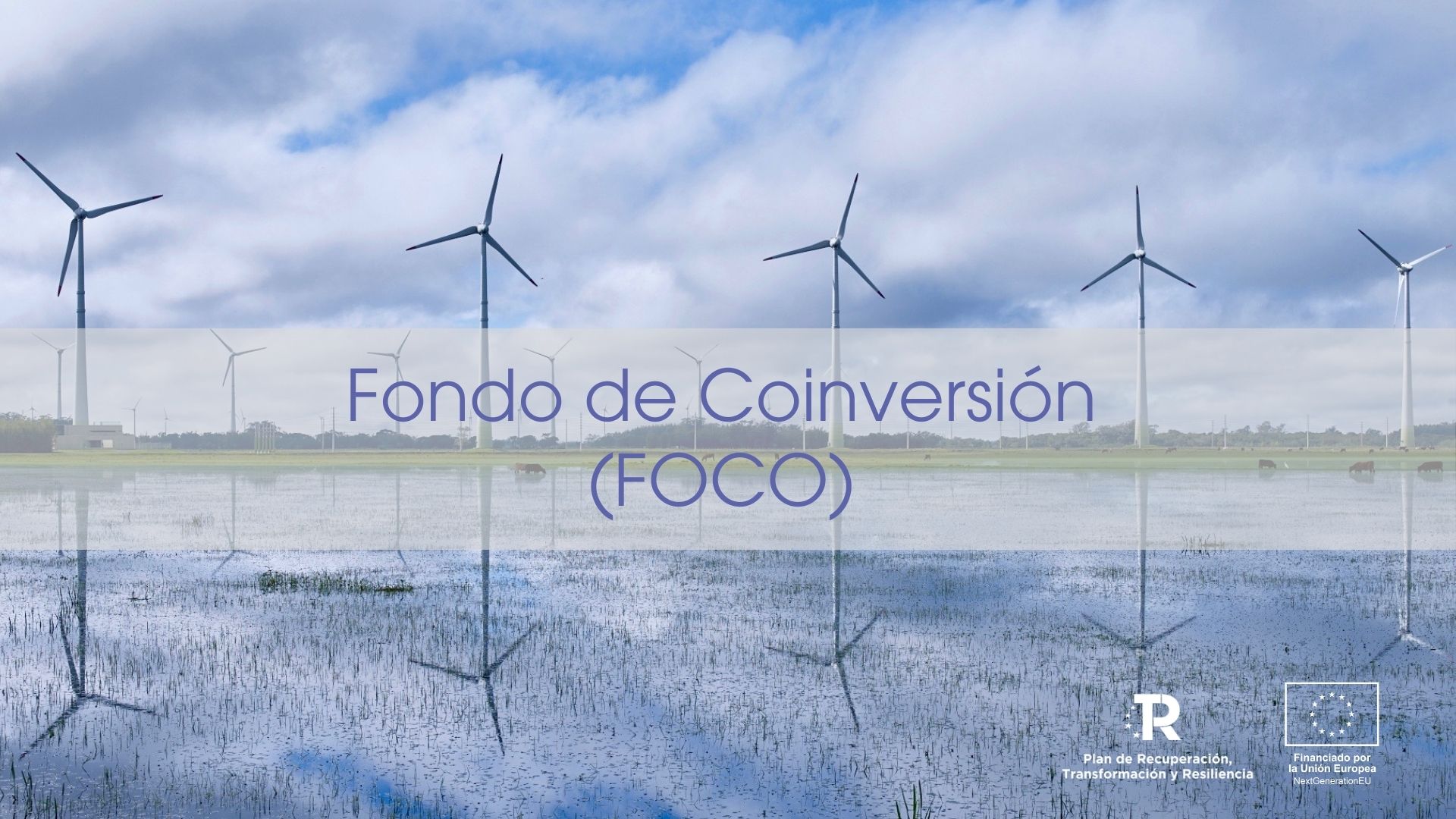 Imagen parque eólico. Banner promocional del Fondo de Coinversión (FOCO)