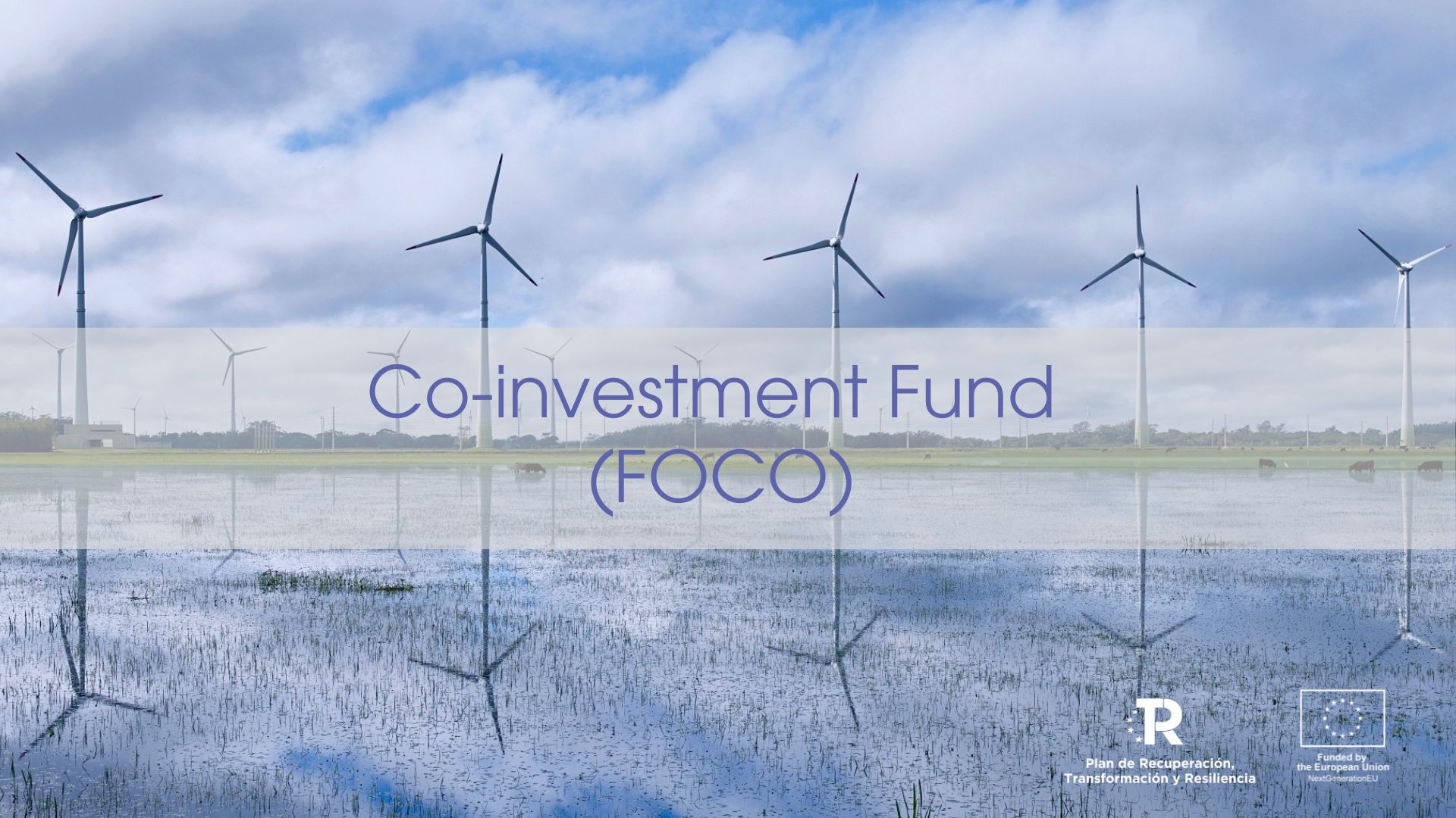 Wind farm. Promotional banner of Co-investment Fund (FOCO)