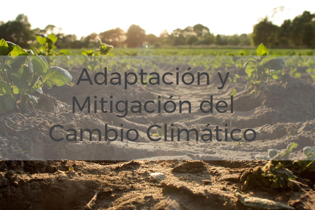 cofides financiacion adaptacion mitigacion cambio climatico