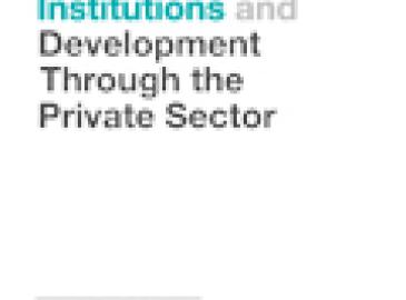 INTERNATIONAL FINANCE INSTITUTIONS AND DEVELOPMENT THROUGH THE PRIVATE SECTOR 1
