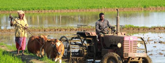 Imagen de un agricultor. Fotografía: Rajesh Ram en Unsplash.