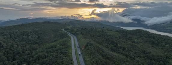 Imagen de una carretera entre vegetación.