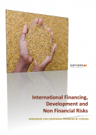 Cover page of 'International Financing, Development and Non Financial Risks - Handbook for companies financed by COFIDES'